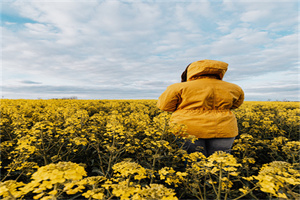 四川文化产业职业学院五年制大专地址在哪里 四川文化产业职业学院五年制大专地址在哪里