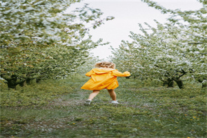 四川水利职业技术学院五年制大专网站网址