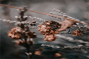 达州职业技术学院五年制大专地址在哪里 达州职业技术学院五年制大专地址在哪里